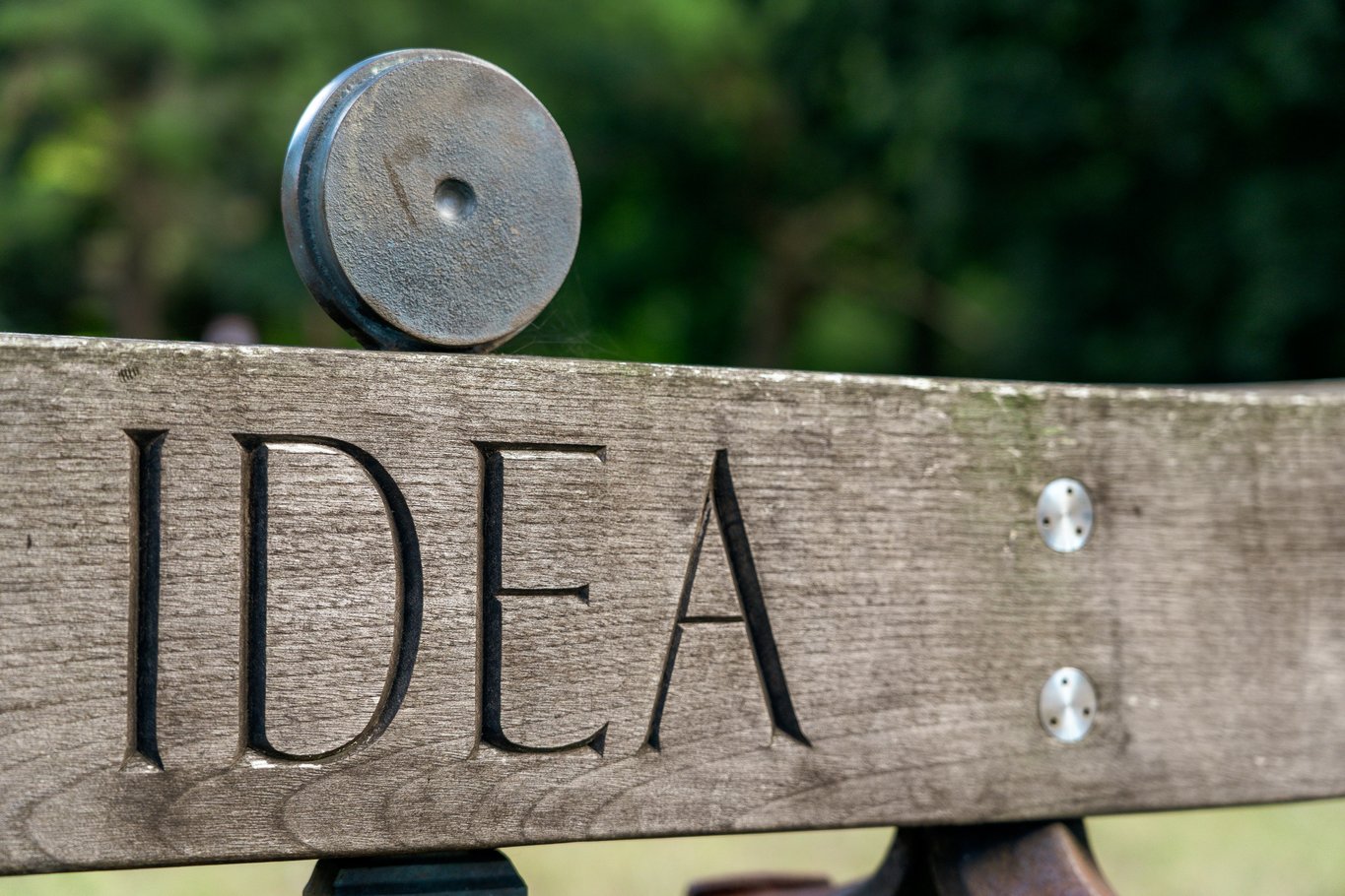 The word IDEA carved into the weathered wooden backrest of a garden bench with a metal disc resting on top